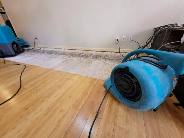 Professional Sewage Cleanup technician working in Saint Jacob, IL